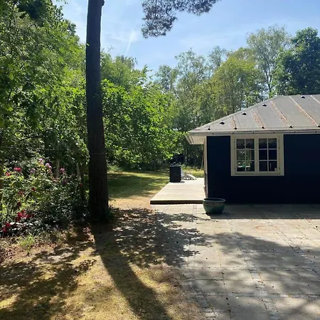 10014-1-rorvig-troldevaenget-5