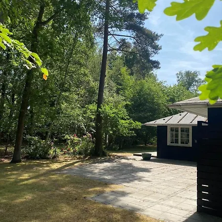 10014-1-rorvig-troldevaenget-5 *